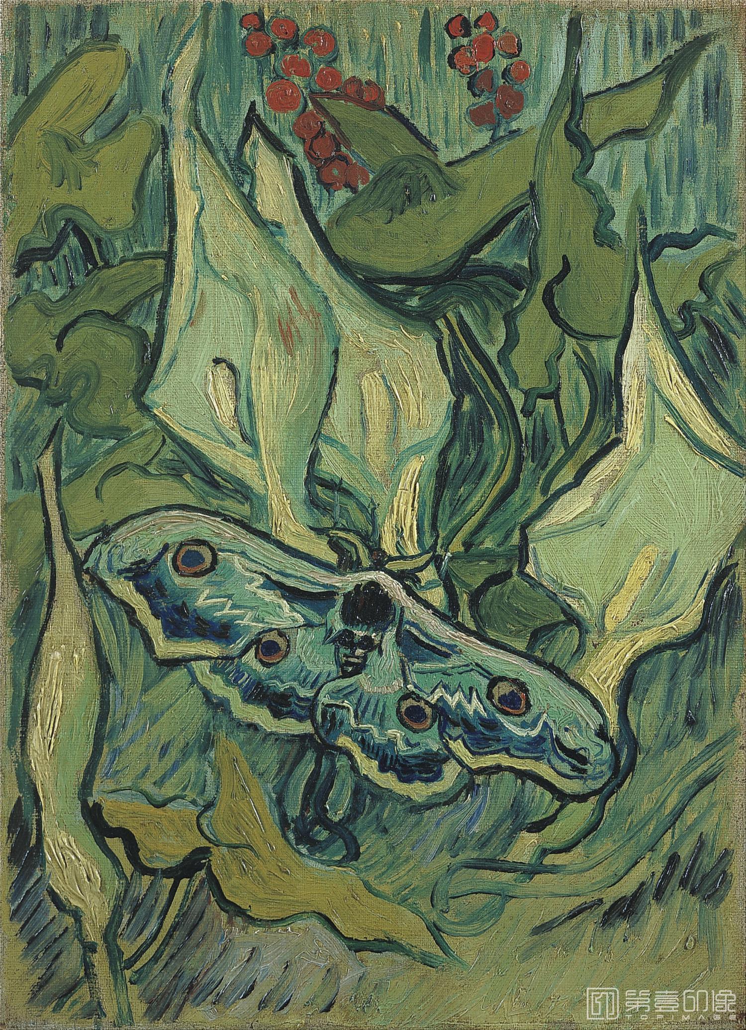 油画-文森特·威廉·梵高 Vincent Willem van Gogh-Emperor moth May 1889 - 1889-082